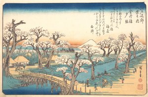 Evening Glow vid Koganei Border, 1800-talet. av Ando Hiroshige