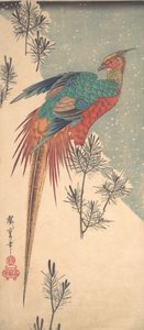 Guldfasan och tallskott i snö, ca. 1835., ca. 1835. av Ando Hiroshige