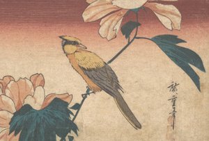 Hibiscus Mutabilis och Jay, ca. 1840., ca. 1840 av Ando Hiroshige