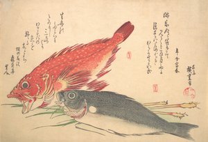Isaki och Kasago Fish, från serien Uozukushi Every Variety of Fish, 1830-talet, 1830-talet. av Ando Hiroshige