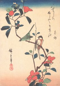 Japansk vitöga och mes på en kameliagren, ca. 1840., ca. 1840. av Ando Hiroshige