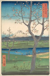 Musashi, Koshigaya Zai, 4:e månaden häst år 1858., 4:e månaden häst år 1858.
