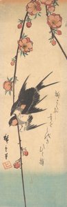 Päronblommor och svalor, ca. 1840., ca. 1840. av Ando Hiroshige