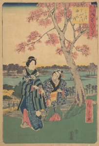 Titta på plommonblommor under den tredje månaden vid Sumida River från serien Annual Events at F..., 1854. av Ando Hiroshige