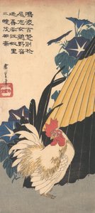Tupp, paraply och Morning Glories, ca. 1830., ca. 1830. av Ando Hiroshige