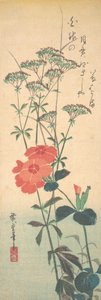 Superb Pinks and Chinese Agrimony, ca. 1836., ca. 1836. av Ando Hiroshige