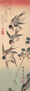 Svalor och spirande vildkörsbär, ca. 1835., ca. 1835. av Ando Hiroshige