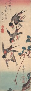 Svalor och vildkörsbär, ca. 1834., ca. 1834. av Ando Hiroshige