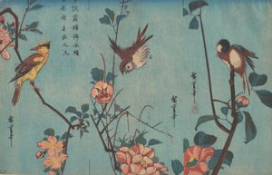 Titmouse och Camellias till höger, Sparrow och Wild Roses i mitten och Black-naped Oriol..., ca 1833. av Ando Hiroshige