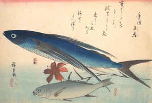 Tobiuo och Ishimochi Fish, från serien Uozukushi Every Variety of Fish, 1840-talet, 1840-talet. av Ando Hiroshige