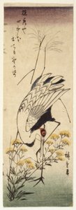 Trana med vild senap (trätryck i färg) av Ando or Utagawa Hiroshige