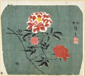 Fläkttryck: Rose av Ando or Utagawa Hiroshige