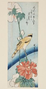 Hibiscus och svartnapad Oriole (träblockstryck i färg)