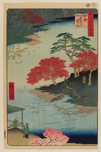 Insidan av Akiba Shrine, Ukeji av Ando or Utagawa Hiroshige