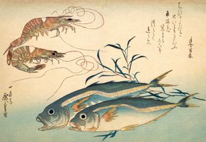 Japansk taggmakrill och japansk tigerräka (träblock i färg) av Ando or Utagawa Hiroshige