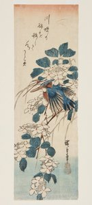 Kingfisher och Viburnum (träblock i färg) av Ando or Utagawa Hiroshige