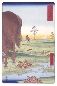 Kogane Plain In Shim?sa Province (Shim?sa Koganegahara) (träblock i färg) av Ando or Utagawa Hiroshige