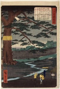 Miyuki Pine (trätryck i färg) av Ando or Utagawa Hiroshige