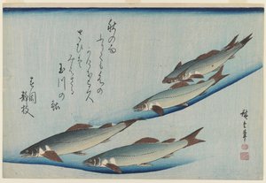 School of Five Sea Trout, Edo Period (träblock i färg på papper) av Ando or Utagawa Hiroshige