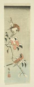 Sparvar och kamelia i snö (träblock i färg) av Ando or Utagawa Hiroshige