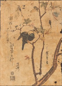 Studie av fågel som sover på gren av Ando or Utagawa Hiroshige