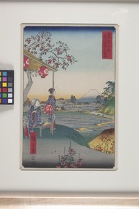 Tehus med utsikt över berget Fuji i Z?shigaya (Z?shigaya Fujimi Chaya) (trätryck i färg) av Ando or Utagawa Hiroshige