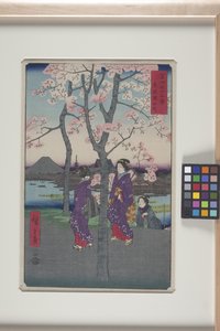 Sumida-vallen i den östra huvudstaden (T?to: Sumida Tei) (trätryck i färg) av Ando or Utagawa Hiroshige