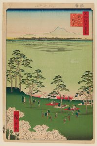 Utsikt mot norr från Asukayama av Ando or Utagawa Hiroshige