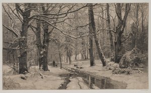 Vinterdag i en skog