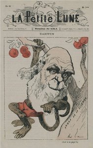 Darwin som apa på La Petite Lune av Andre Gill