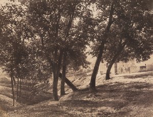 Träd, c. 1855.