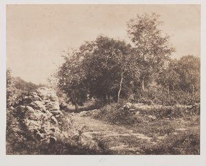 Utan titel (Scen av Fontainebleau)