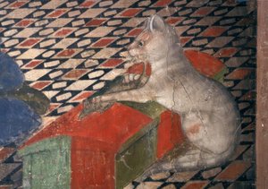 Atri, Dom, Cat / A.Delitio av Andrea Delitio