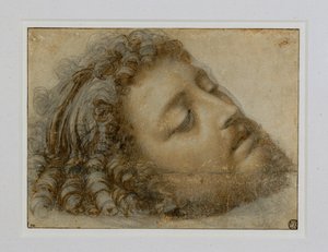 Huvudet på Sankt Johannes Döparen ... av Andrea Solario