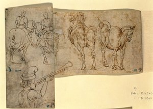 Inv nr.38 recto Sketch of Horses, ca. 1460-70 (penna och bläck) av Andrea Verrocchio