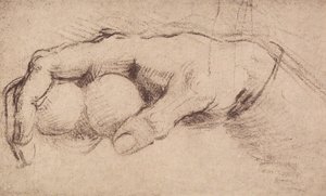 En hand; teckning av Andrea del Sarto