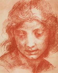 Pojkar huvud av Andrea del Sarto