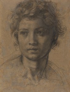 Huvud för Johannes Döparen av Andrea del Sarto