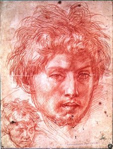 Människohuvud (rödkrita på papper) av Andrea del Sarto