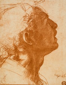 Manligt huvud av Andrea del Sarto