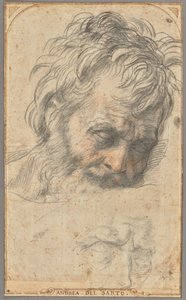 Studie till Sankt Josefs huvud (recto); Två studier av ben (verso) av Andrea del Sarto