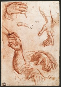 "Studie av händer" ritkol (kol) av Andrea del Sarto