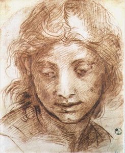 Studie av huvudet på en ung kvinna (krita) av Andrea del Sarto