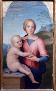 Jungfru med barn (målning av Andrea del Sarto