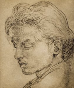 Virilt huvud i profil av Andrea del Sarto