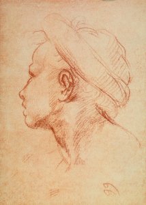 Ungdomars huvud i profil av Andrea del Sarto