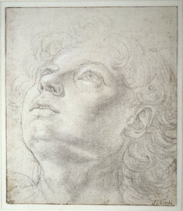 Änglahuvud av Andrea del Verrocchio
