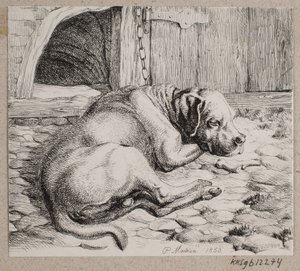 En sovande kedjehund