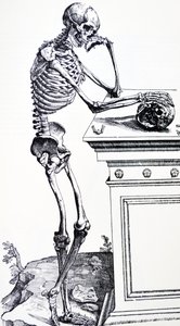 Mänskligt skelett med skalle i handen. Från "De Humani Corporis Fabrica" ​​av Vesalius. Eventuell vedhuggare: Jan von Calcar
