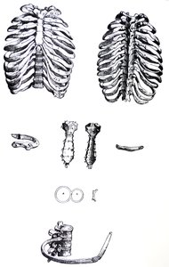 Plattorna från den första boken i De Humani Corporis Fabrica av Andreas Vesalius